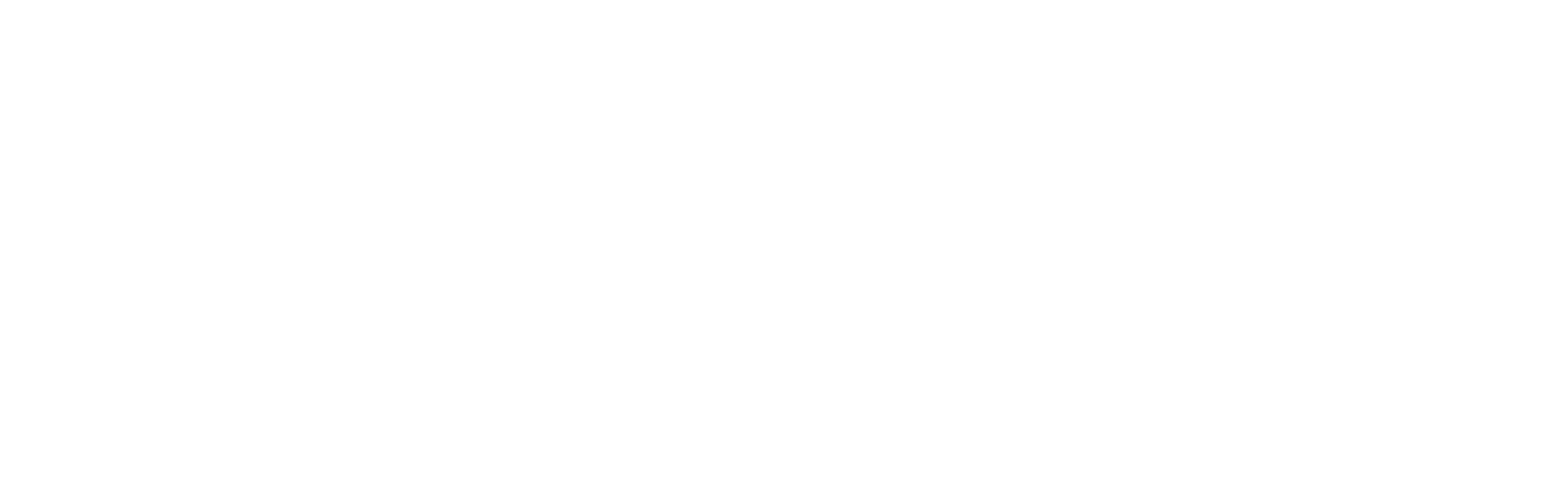 OEMER Motori Elettrici S.P.A.